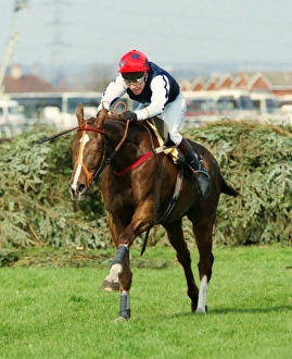 Jason Titley on Royal Athlete wins the 1995 Grand National Jason Titley on Royal Athlete wins the 1995 Grand National