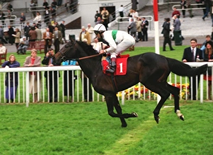 Presenting, ridden by Frankie Dettori, wins the 1995 Durante Conditions Presenting, ridden by Frankie Dettori, wins the 1995 Durante Conditions