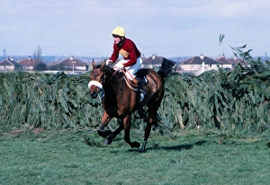 Red Rum and Tommy Stack clear the last to win the 1977 Grand National Red Rum and Tommy Stack clear the last to win the 1977 Grand National