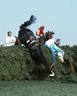 Rubstic falls at the Chair during the 1980 Grand National Rubstic falls at the Chair during the 1980 Grand National