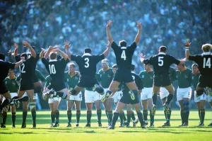 Rugby World Cup Prints: RWC Final Print: SA 15 NZ 12 [aet] Rugby Union - Ellis Park, Johannesburg