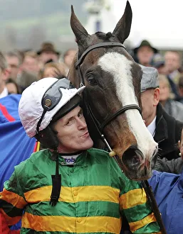 Tony McCoy and Synchronised - 2012 Cheltenham Gold Cup Tony McCoy and Synchronised - 2012 Cheltenham Gold Cup