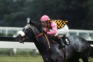 Warpath, ridden by Eddie Hide in the colours of Guy Reed, during the 1973 Prince of Wales stakes Warpath, ridden by Eddie Hide in the colours of Guy Reed, during the 1973 Prince of Wales stakes