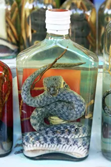 Bottle of Snake Whiskey in Whisky Village near Luang Prabang, Laos Bottle of Snake Whiskey in Whisky Village near Luang Prabang, Laos