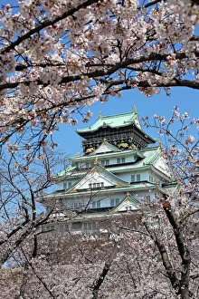 Cherry Blossom season around Osaka Castle, Osaka, Japan Cherry Blossom season around Osaka Castle, Osaka, Japan