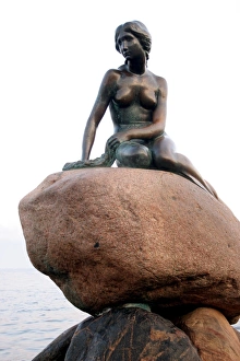 Little Mermaid