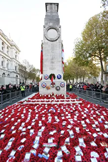 Remembrance Day poppies at the Cenotaph, London Remembrance Day poppies at the Cenotaph, London