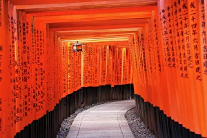Senbon Torii, tunnels of red torii gates, at Fushimi Inari Shinto shrine in Kyoto, Japan Senbon Torii, tunnels of red torii gates, at Fushimi Inari Shinto shrine in Kyoto, Japan
