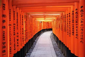 Senbon tunnel of Torii gates, Fushimi Inari shrine, Kyoto, Japan Senbon tunnel of Torii gates, Fushimi Inari shrine, Kyoto, Japan