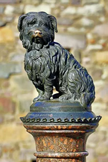 Statue of Skye Terrier dog Greyfriars Bobby, Edinburgh, Scotland Statue of Skye Terrier dog Greyfriars Bobby, Edinburgh, Scotland
