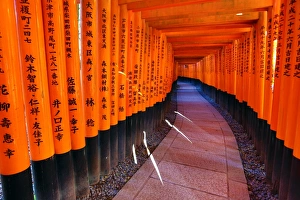 Tunnel of red torii gates, Fushimi Inari shrine, Kyoto, Japan Tunnel of red torii gates, Fushimi Inari shrine, Kyoto, Japan