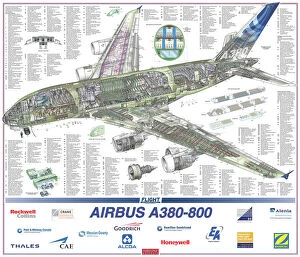 Boeing 747 Collection: Airbus A380-800 Cutaway Poster