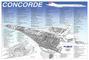 BAe Concorde Cutaway Poster