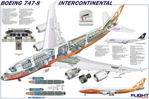 Boeing 747 Collection: Boeing 747-8 Cutaway Poster