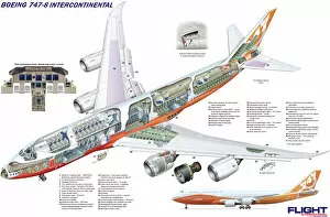 Boeing 747 Collection: Boeing 747-8 Intercontinental Cutaway Poster