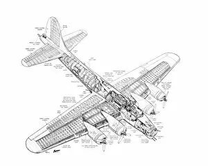Boeing Collection: Boeing B-17G Flying Fortress Cutaway Drawing