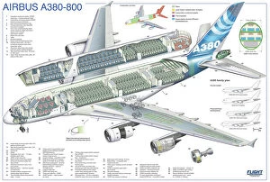 Cutaway Posters Collection: Cutaway Posters, Civil Aviation 1949 Present Cutaways, A380NLT