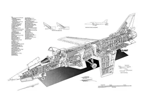 Northrop / Grumman X-29A Cutaway Poster Print