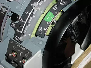 Flight Collection: Snow - Boeing 737 cockpit