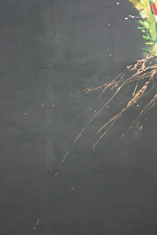 Commercial Use Images Prints: Abstract - paint