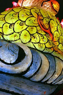 Abstract Shell Print
