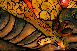 Abstract Shell Print
