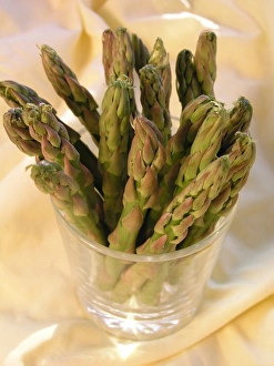 Asparagus Photography Prints: Asparagus