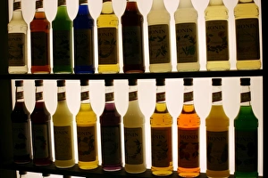 2008 Prints: Bottles Print