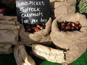 Roasted Chestnuts Prints: Chestnuts