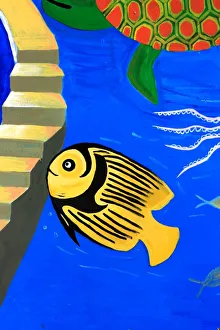 Tropical Fish Photos Prints: Fish on steps
