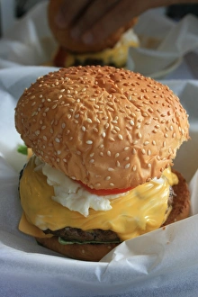 Hamburger Hamburger Print