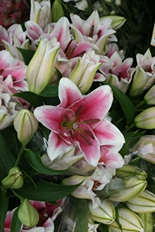 Wedding Flowers Prints: Lilies