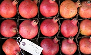 Fresh Pomegranates Prints: Pomegranate