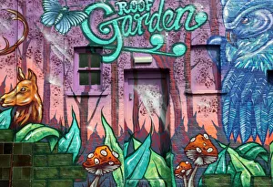Colourful Rooftop Garden Print