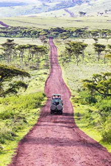 A 4-wheel drive safari vehicle drives along a red track near the Ngorongoro Crater A 4-wheel drive safari vehicle drives along a red track near the Ngorongoro Crater