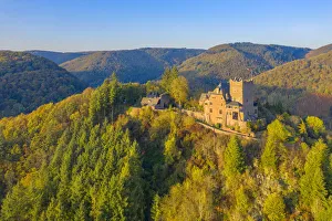 Aerial view on Burg Arras, Alf, Mosel valley, Rhineland-Palatinate, Germany Aerial view on Burg Arras, Alf, Mosel valley, Rhineland-Palatinate, Germany