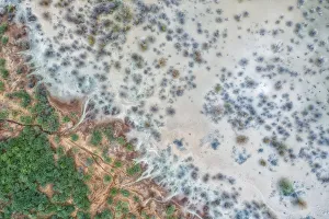 Aerial view of floded banks of lake Bogoria, where lesser and greater flamingos gather Aerial view of floded banks of lake Bogoria, where lesser and greater flamingos gather