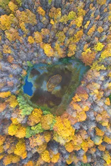 aerial view of the forest and lake with autumn colors, tuscan-emilian apennine national aerial view of the forest and lake with autumn colors, tuscan-emilian apennine national