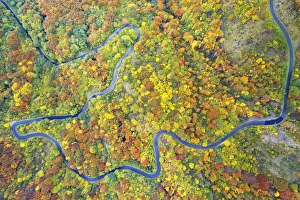 aerial view of the forest and road with autumn colors, tuscan-emilian apennine national aerial view of the forest and road with autumn colors, tuscan-emilian apennine national
