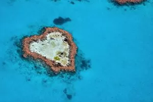 Australia Collection: An aerial view of Heart Reef