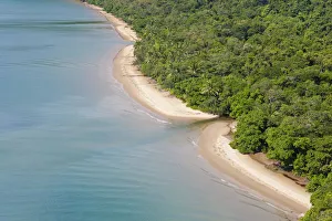 Aerial view of rain forest and beach, Daintree Forest, Daintree National Park, nr Cairns Aerial view of rain forest and beach, Daintree Forest, Daintree National Park, nr Cairns