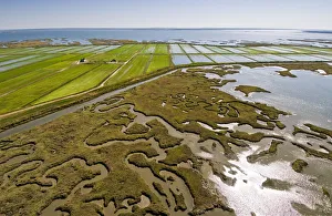 Aerial view of rice fields and marshes along the Sado river. Comporta, Alentejo, Portugal Aerial view of rice fields and marshes along the Sado river. Comporta, Alentejo, Portugal