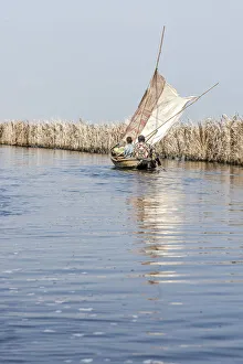 Africa, Benin, Lac Nokoue. Sailing in the lagoon Africa, Benin, Lac Nokoue. Sailing in the lagoon