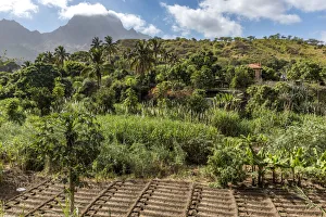 africa, Cape Verde, Santiago. The green heart of the island africa, Cape Verde, Santiago. The green heart of the island