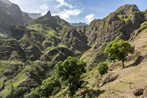 africa, Cape Verde, Santo Antao. In the Paul Valley africa, Cape Verde, Santo Antao. In the Paul Valley