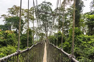 Africa, Ghana, Kakum National Park. The canopy walkway Africa, Ghana, Kakum National Park. The canopy walkway