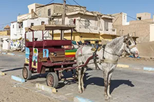 Africa, Senegal, Saint-Louis. A caleche, traditional taxi Africa, Senegal, Saint-Louis. A caleche, traditional taxi