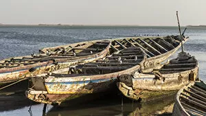 Saint-Louis Collection: Africa, Senegal, Saint-Louis. Old wooden fishing boats