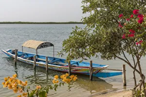 Africa, Senegal, Sine-Saloum-Delta. Near to Mar Lodj Africa, Senegal, Sine-Saloum-Delta. Near to Mar Lodj
