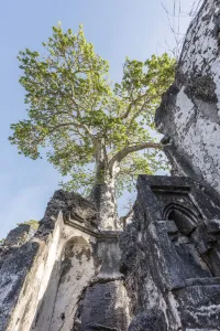 Africa, Tanzania, Lindi region. The ruins of Songo Mnara Africa, Tanzania, Lindi region. The ruins of Songo Mnara